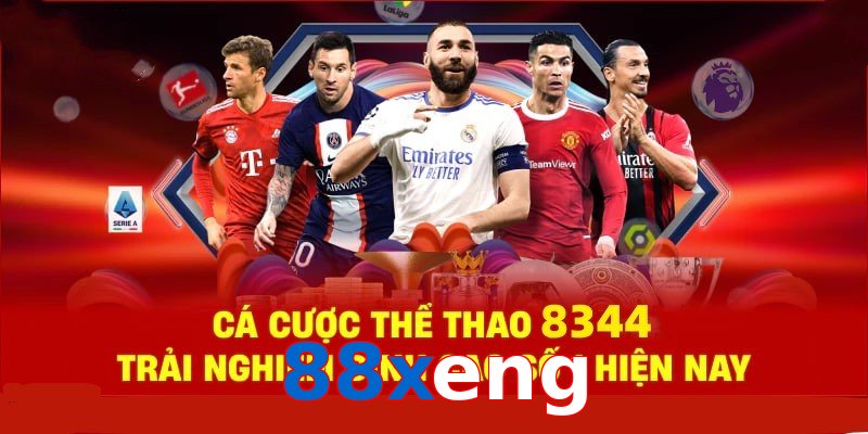 Đá Gà Philippines – Tinh Hoa Truyền Thống Và Thể Thao 